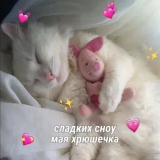 🩹 сладких сноу
мая хрюшечка Katze, Ferkel, Schlaf, Herzen, süß, Tier whatsapp sticker