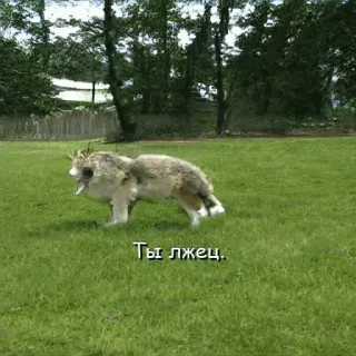 Нейроволк telegram stickers