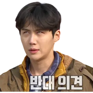 🙄 반대의견 ekspresi, reaksi, orang, pria, korea telegram sticker
