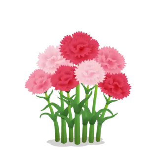 🌳 flowers, carnations, pink, floral, bouquet, nature telegram sticker