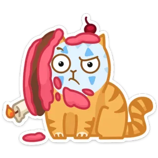 😵 kot, ciasto, śmieszne, kreskówka, naklejka telegram sticker