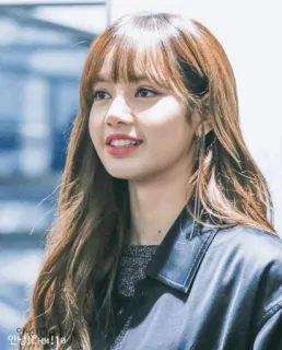🌱 Lisa 안녕!다혜! Lisa, Frau, Porträt, Idol, Sängerin, K-Pop telegram sticker