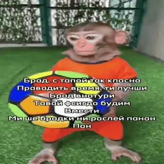 🐵 Брад, с тапой так класна
Правадить время, ти лучши
Брад внатури
Тавай фсигдо будим
Вмести
Ми ше брадки ни раслей панан
Пон mono, pelota, animal, gracioso, lindo whatsapp sticker