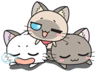 😴 cat, kitten, sleep, cute, animal, kawaii, cartoon whatsapp sticker