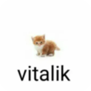 🐱 vitalik whatsapp sticker