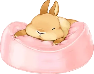 🐰 Hase, Kaninchen, schlafend, süß, Tier, Couch whatsapp sticker
