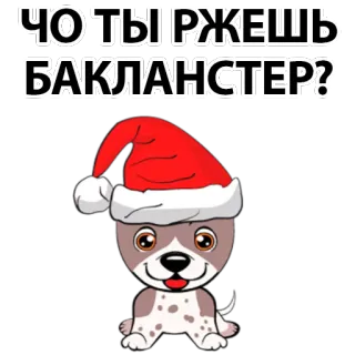 🤬 ЧО ТЫ РЖЕШЬ БАКЛАНСТЕР? dog, christmas, russian, insulting telegram sticker