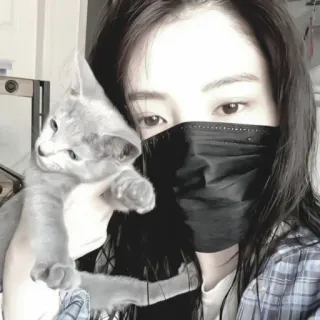 ⏰ kucing, anak kucing, masker, orang, hewan peliharaan, hewan, selfie whatsapp sticker