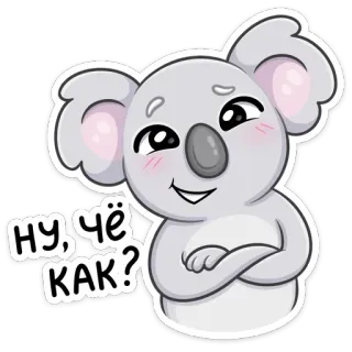 😏 ну, чё, как? коала, мультфильм, стикер, животное, милый, приветствие telegram sticker