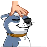 Tusky Husky telegram stickers