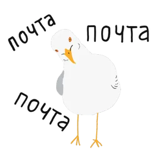 📩 почта burung, camar, pos, surat, rusia telegram sticker