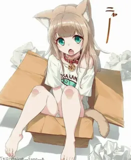 ✨ OSAKAN Аниме, Девушка-кошка, Коробка, Кавай, Звериные уши, Мультфильм whatsapp sticker