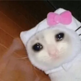 😭 kucing, sedih, menangis, Hello Kitty, binatang, meme telegram sticker