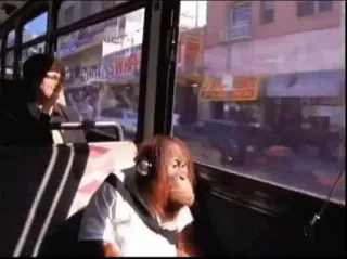 🚌 małpa, orangutan, słuchawki, autobus, zwierzę, transport telegram sticker