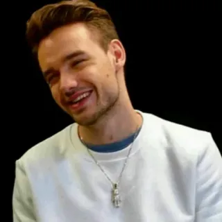 💕 Liam Payne Liam Payne, Musiker, Sänger, Promi, Porträt telegram sticker