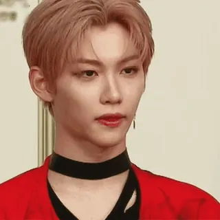🐤 Felix kpop, idol, sänger, stray kids, männlich, porträt telegram sticker