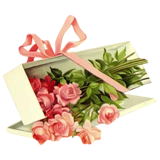 🌹 roses, flowers, gift, bouquet, floral, romantic, decoration telegram sticker