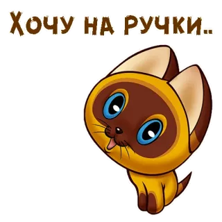 🥺 Хочу на ручки cat, cute, animal, sticker telegram sticker