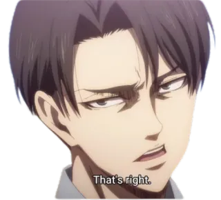 Levi Ackerman @SwallowZireael telegram stickers