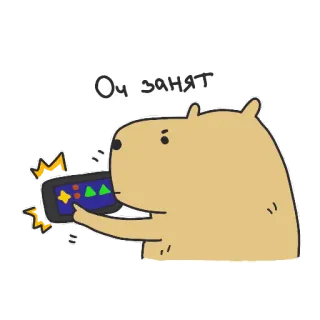 👩‍💻 Оч занят capivara, desenho animado, animal, ocupado, telefone, brincando telegram sticker