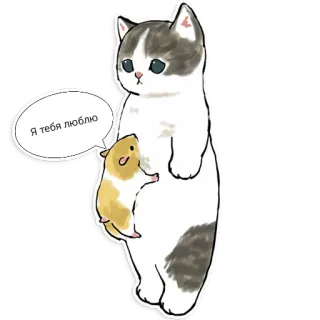 ❤️ Я тебя люблю Katze, Hamster, Liebe, Süß, Tiere, Freundschaft telegram sticker