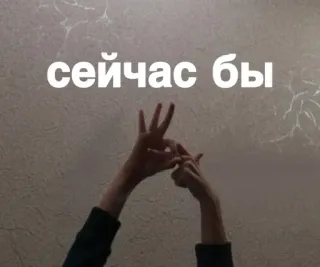 👌 сейчас бы lingua russa, testo, frase telegram sticker