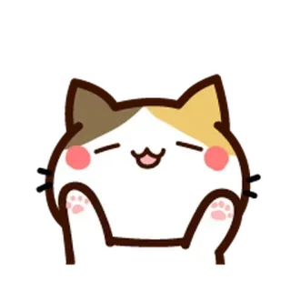 ⚪️ gato, lindo, dibujos animados, kawaii, animal, mascota, feliz whatsapp sticker