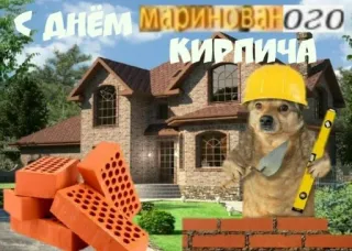 🧱 С ДНЁМ МАРИНОВАННОГО КИРПИЧА dog, bricks, construction, funny, celebration, russian telegram sticker
