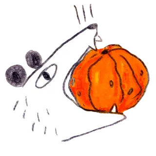 😋 wilk, dynia, zwierzę, halloween, jesień, żniwa telegram sticker