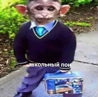 📚 школьный пон monkey, school, lunchbox, uniform, ape telegram sticker
