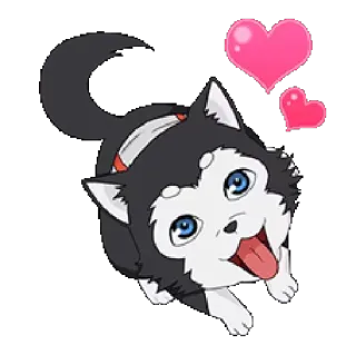 ❤ perro, cachorro, corazones, lindo, animal, husky telegram sticker