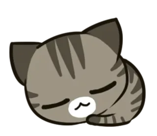 😴 แมว, นอน, น่ารัก, สัตว์, ลูกแมว, สัตว์เลี้ยง whatsapp sticker