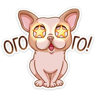 😳 ОГО! ОГО! кот, животное, питомец, звезды, взволнованный, восклицание, милый telegram sticker