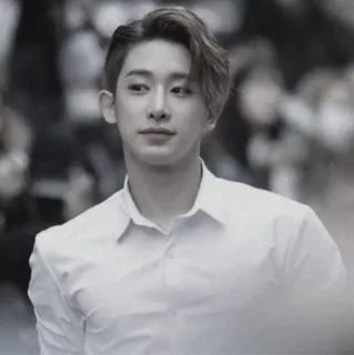 🌗 мужчина, человек, портрет, k-pop telegram sticker