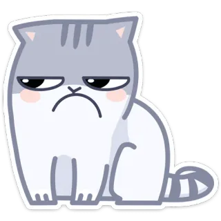 😕 gato, triste, animal, adesivo, fofo, cinza, branco whatsapp sticker