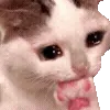 🥺