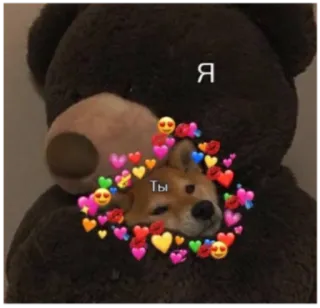 🐻 Я Ты собака, плюшевый мишка, любовь, эмодзи, сердечки, милый, нежность telegram sticker
