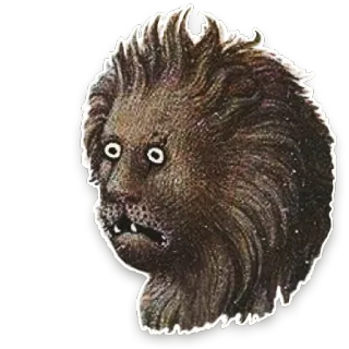😧 animal, creature, lion, funny, weird, meme, face telegram sticker