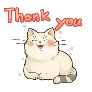 🙏 Thank you chat, merci, mignon, autocollant, animal, salutation telegram sticker