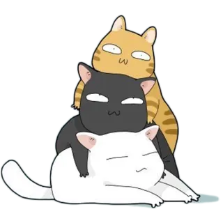 ☺️ gatos, pilha, animais, fofo, desenho animado, ilustração whatsapp sticker