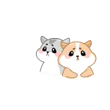 ๐จ