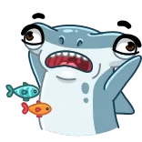 😱 tiburón, pez, dibujo animado, animal, divertido, lindo telegram sticker