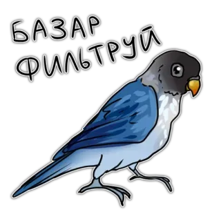 🤨 БАЗАР ФИЛЬТРУЙ uccello, pappagallo, filtro, testo telegram sticker