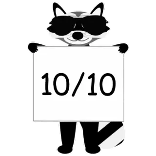 🔟 10/10 raccoon, sunglasses, rating, score, perfect, animal, cartoon telegram sticker