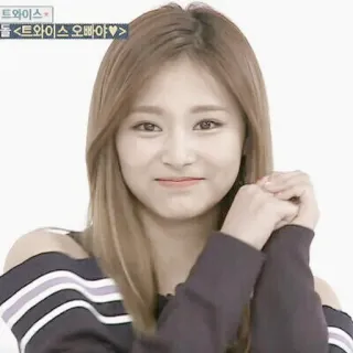 𖠵tzuyu' @cicha4xr whatsapp stickers