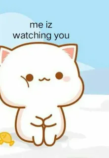👩 me iz watching you cat, cute, watching, animal, cartoon whatsapp sticker