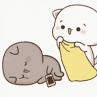 🎈 schattig, kat, slaperig, deken, cartoon whatsapp sticker