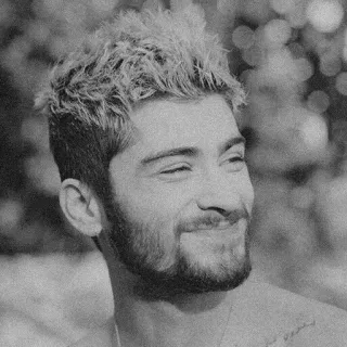 🎬 Zayn Malik портрет, мужчина, певец, музыка, знаменитость telegram sticker