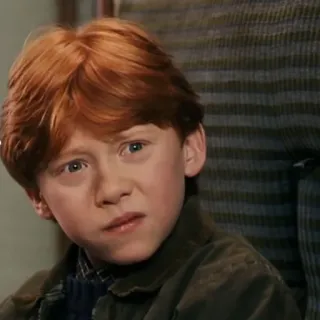 🦁 Ron Weasley Harry Potter ロン・ウィーズリー, ハリー・ポッター, 魔法使い, キャラクター, 映画 telegram sticker
