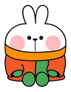 🐯 coniglio, coniglietto, carino, animale, kawaii, adesivo telegram sticker